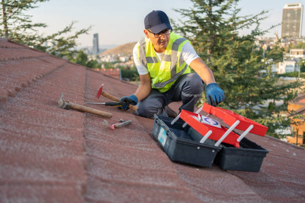 Best Hoarding Cleanup  in Newberg, OR
